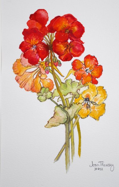 天竺葵和金莲花，2014年，水彩 作者 琼·瑟西