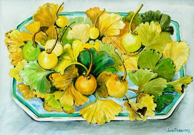 银杏，水果和叶子，2010年，水彩 作者 琼·瑟西