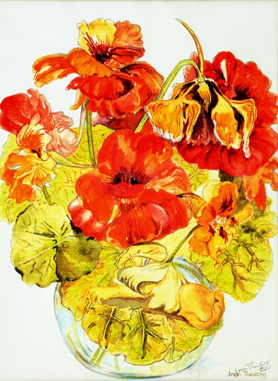 金莲花，2005，（水彩） 作者 琼·瑟西