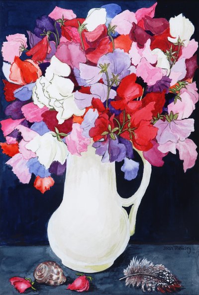 壳和羽毛白罐中的甜豌豆2011） 作者 琼·瑟西