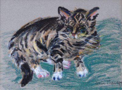 虎斑猫，2005年（粉彩） 作者 Joan Thewsey
