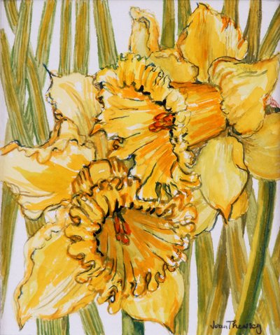 两个水仙花，2001年，水彩在手工纸上 作者 琼·瑟西