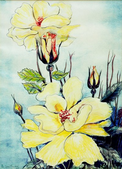 2005年萨福克微风中的黄玫瑰，（水彩） 作者 琼·瑟西