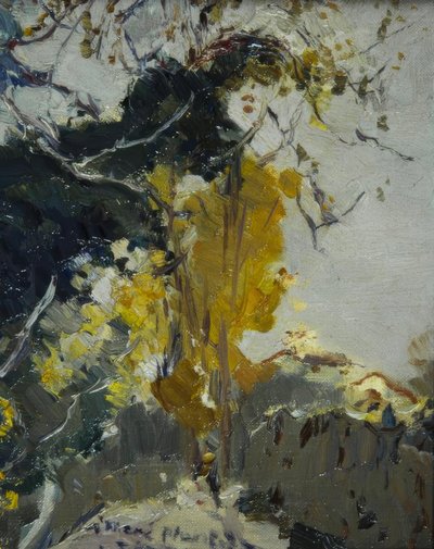 树木 作者 Joaquim Mir i Trinxet