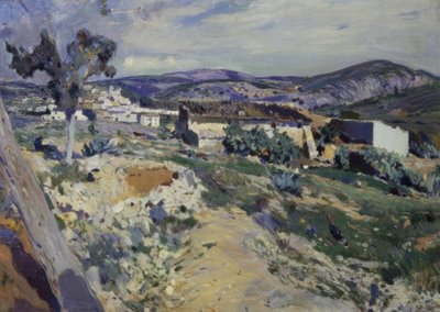 峡谷的景色 作者 Joaquim Mir i Trinxet