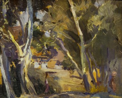米拉维特 作者 Joaquim Mir i Trinxet