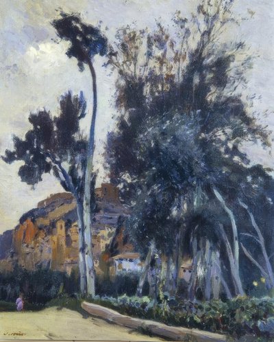 米拉维特 作者 Joaquim Mir i Trinxet