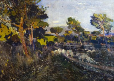 Ohne Titel 作者 Joaquim Mir i Trinxet