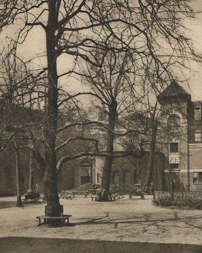 米德尔塞克斯医院院子里的榆树下，约建于1935年。 作者 乔尔