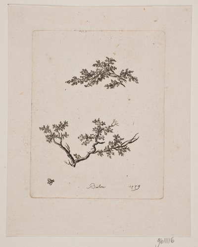 两根树枝 作者 约翰·布洛