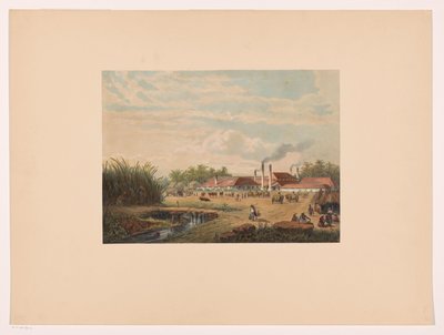 爪哇中部 Tegal 附近的 Pangka 工厂
Pangka 制糖厂；Tagal 住所
根据 A. Salm 绘画和素描绘制的爪哇（系列标题） 作者 弗兰斯·布法恩·佐南