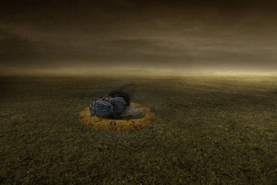 目标的终结，2013 年（摄影） 作者 约翰·利利亚（Johan Lilja）