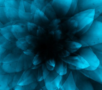 花蓝》，2016 年（数字艺术印刷品） 作者 约翰·利利亚（Johan Lilja）