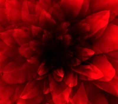 花红柳绿》，2016 年（数字艺术印刷品） 作者 约翰·利利亚（Johan Lilja）