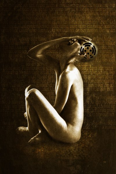 尖叫，2013 年（照片处理） 作者 约翰·利利亚（Johan Lilja）