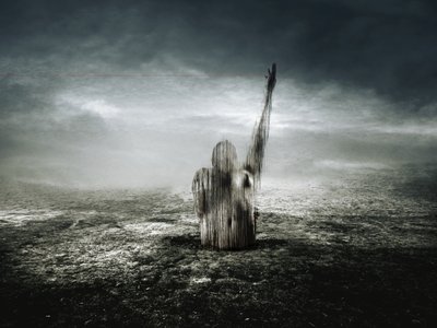 红线，2013 年（摄影） 作者 约翰·利利亚（Johan Lilja）