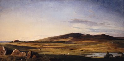 新西兰风景。从 Bjerresø Mark 向 Vejrhøj 和 Dragsholm 庄园望去 作者 约翰·伦比