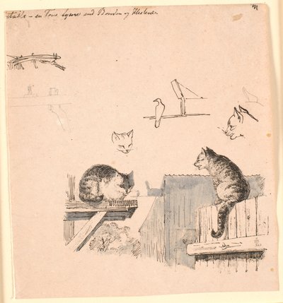 两只猫猫头、一只鸟、一只猫耳朵和横梁作品的 F.o. 研究。为 Kaalund 的 "儿童寓言 "绘制插图。参见纸张目录中的评论。 作者 约翰·托马斯·伦比