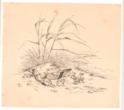 被杀死的野鸭。卡伦德《儿童寓言》插图。参见纸张目录中的评论。 作者 约翰·托马斯·伦比