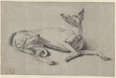 躺着的灵缇犬 作者 Pieter van Bloemen（拒绝归因）