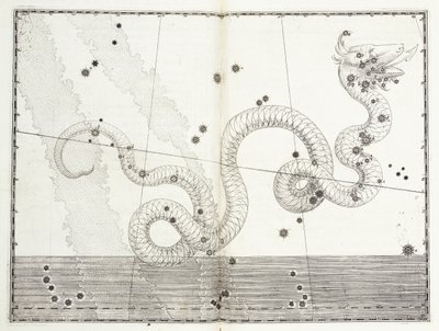 巨蛇座卡普特和巨蛇尾c.1603 作者 约翰·拜耳