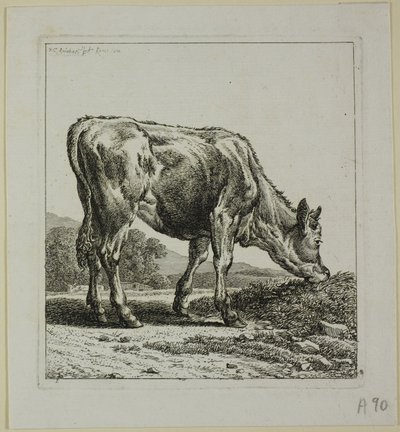 喂养小牛，摘自《动物的第二秩序 作者 约翰·克里斯汀·赖因哈特（Johann Christian Reinhart）