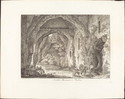 在Mecenate别墅 作者 约翰·克里斯汀·赖因哈特（Johann Christian Reinhart）
