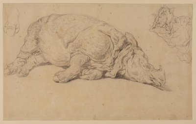 躺在它身边的犀牛 作者 Johann Elias Ridinger或Riedinger