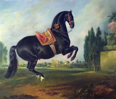 执行Courbette的黑马（详情见264709） 作者 Johann Georg Hamilton