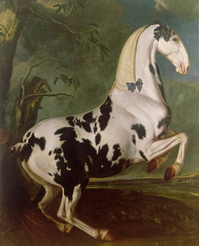 Eisgruber梭哈的花斑种马 作者 Johann Georg Hamilton