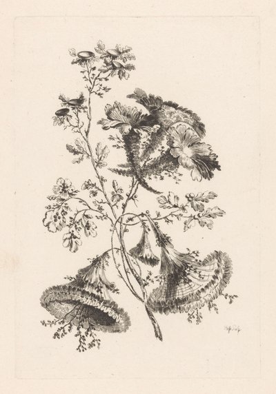 三角花
巴洛克花卉（系列名称） 作者 查尔斯·列维兹