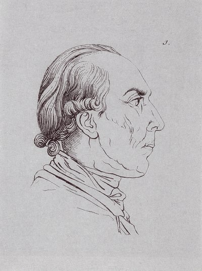 HUBrennwaldi 作者 约翰·海因里希·利普斯（Johann Heinrich Lips）
