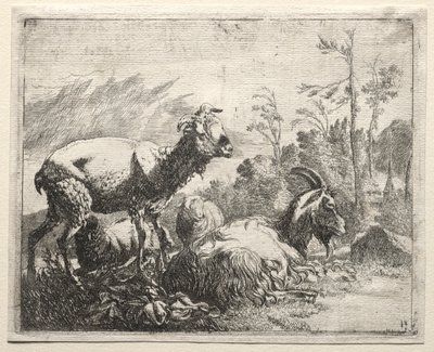 山羊，1665年。 作者 约翰·海因里希·罗斯