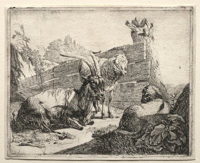 绿篱，1665年。 作者 约翰·海因里希·罗斯