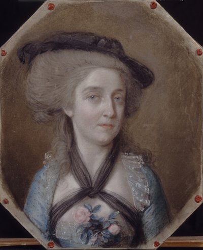 梅纳尔·勒维斯肖像，1784年 作者 约翰·海因里希·施密特（Johann Heinrich Schmidt）