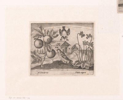 风景中的花卉和动物系列版画
有柑橘、鸟和紫罗兰的风景画
有动物、植物和花卉的风景画（系列名称） 作者 约翰·霍根伯格（可能）