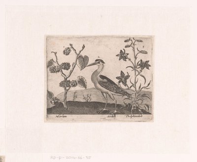 风景中的花卉和动物系列版画
有苍鹭和三角梅的风景画
有动物、植物和花卉的风景（系列名称） 作者 约翰·霍根伯格（可能）