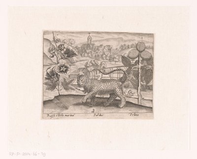 风景中的花卉和动物系列版画
有冬青、金钱豹和梅树的风景画
有动物、植物和花卉的风景画（系列名称） 作者 约翰·霍根伯格（可能）