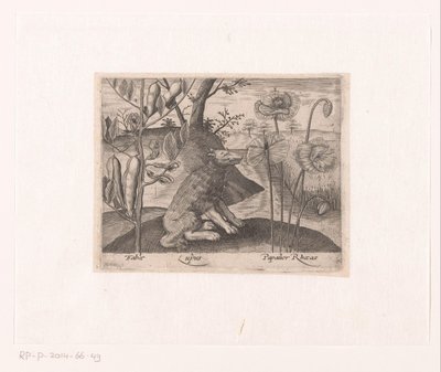 风景中的花卉和动物系列版画
有狼和植物的风景
有动物、植物和花卉的风景（系列名称） 作者 约翰·霍根伯格（可能）