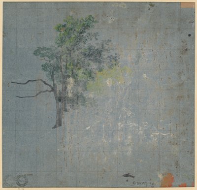 树木研究，19世纪上半叶。 作者 约翰·雅各布·多纳