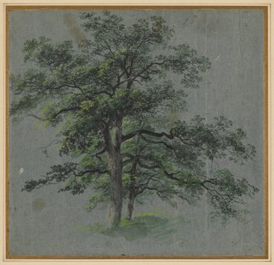 两棵树（右图） 作者 约翰·雅各布·多纳