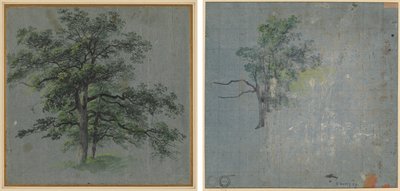两棵树（正面） 树木研究（背面） 作者 约翰·雅各布·多纳