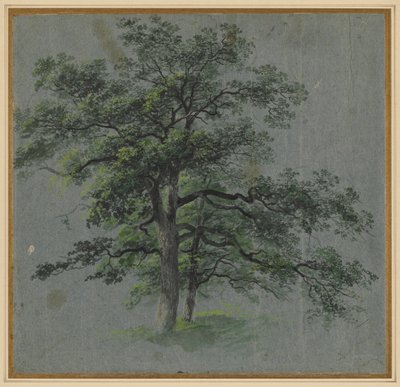两棵树，19世纪上半叶。 作者 约翰·雅各布·多纳