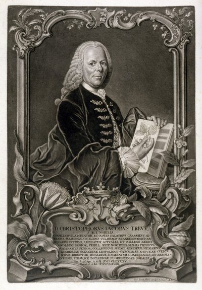 CJ Trew，植物学家，酒吧。 c.1768 作者 约翰·雅各布·海德（Johann Jakob Haid）