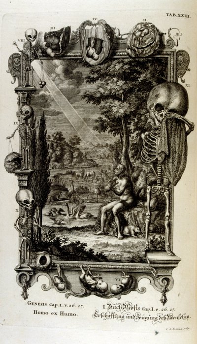 瑞士学者《Physica Sacra》中的铜版雕刻。 约翰·雅各布·舍伊泽 作者 约翰·雅各布·舒赫泽