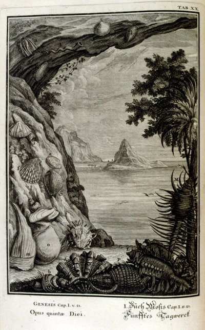 瑞士学者 Johann Jakob Scheuchzer 所著《Physica Sacra》中的铜版画。约翰-雅各布-舍赫泽 作者 约翰·雅各布·舒赫泽