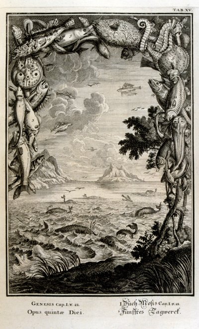 瑞士学者《Physica Sacra》中的铜版雕刻。 约翰·雅各布·舍伊泽 作者 约翰·雅各布·舒赫泽