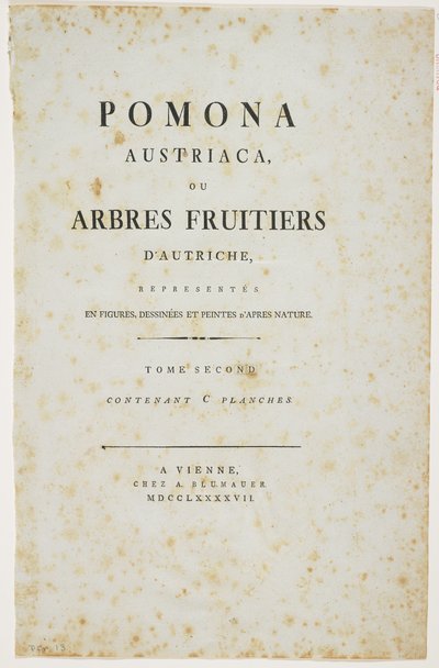 &39;Pomona Austriaca，或来自奥地利的果树&39;的标题页，1787-96（打印） 作者 约翰·卡夫（Johann Kraft）