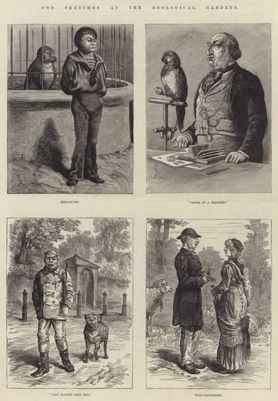 动物园的奇怪草图 作者 Johann Nepomuk Schonberg