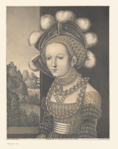 一个不知名的年轻女子的肖像 Boisserée 兄弟收藏的作品（系列名称） Galerie des Frères Boisserée（系列名称） 作者 约翰·内波穆克·斯特里克斯纳